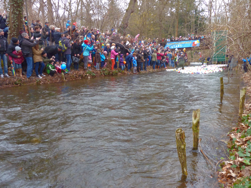 A view of the starting line