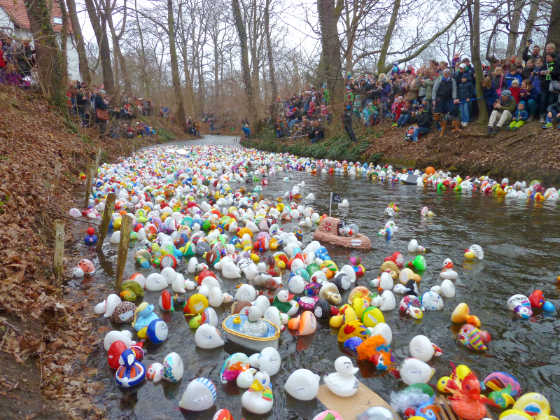 the ducks starting to get warmed up